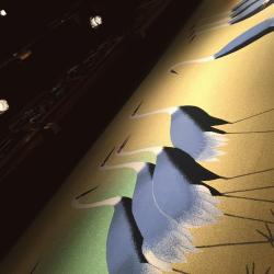 京おどりに行ってきました！