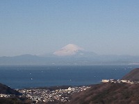 DSC_0542.jpg
